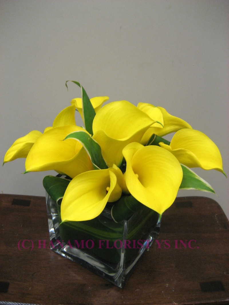 CUBE052 Calla Lilies in 4 Inch Cube Vase